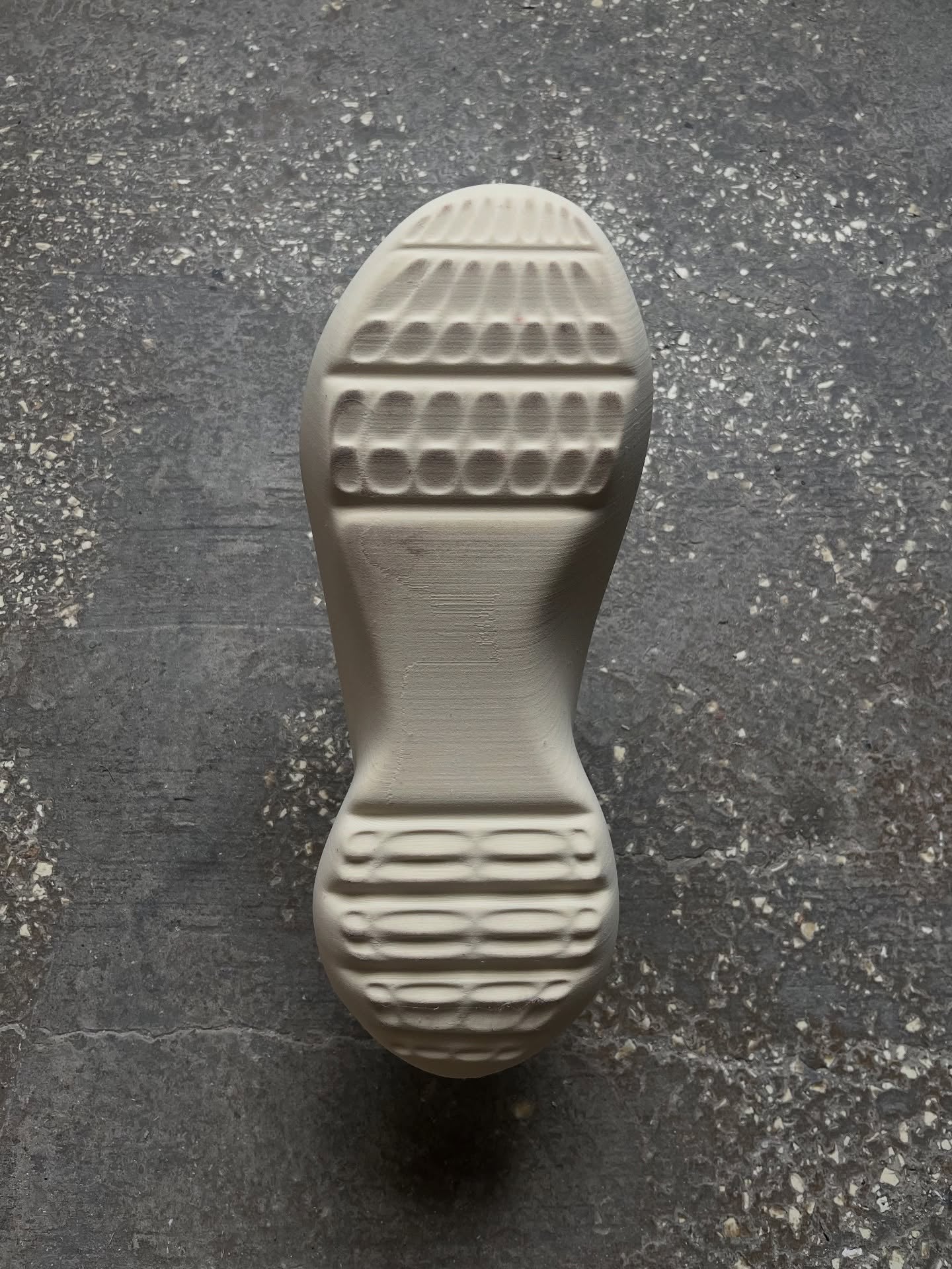Spino And SharX🦈 3D Printed Shoes