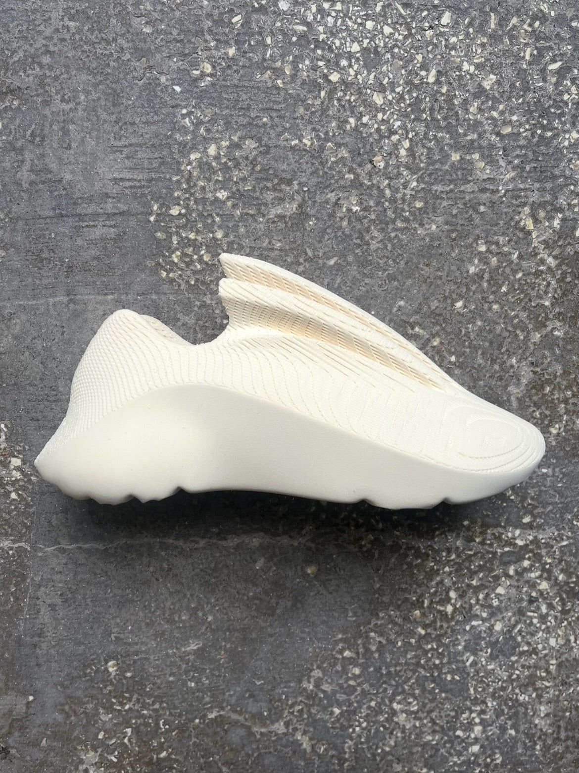 Spino And SharX🦈 3D Printed Shoes