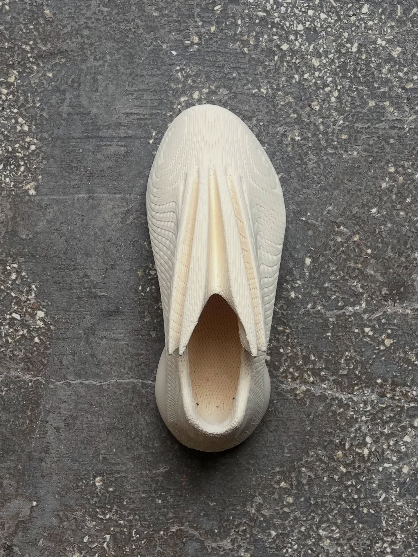 Spino And SharX🦈 3D Printed Shoes