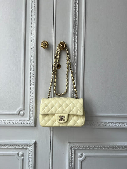 Mini Rectangular Flap Bag