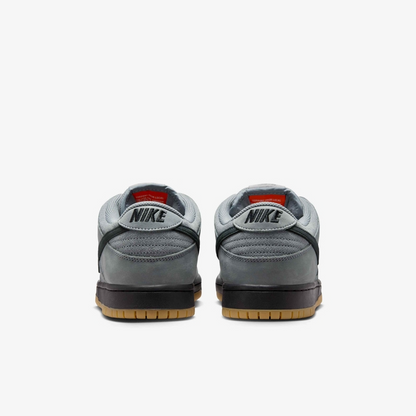 SB Dunk Low Pro Skate Shoes