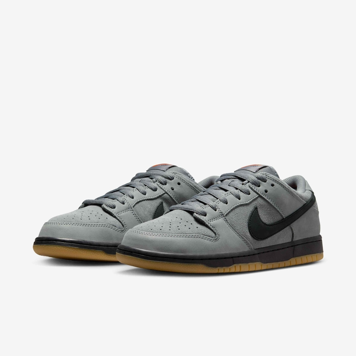 SB Dunk Low Pro Skate Shoes