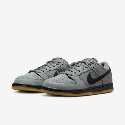 SB Dunk Low Pro Skate Shoes